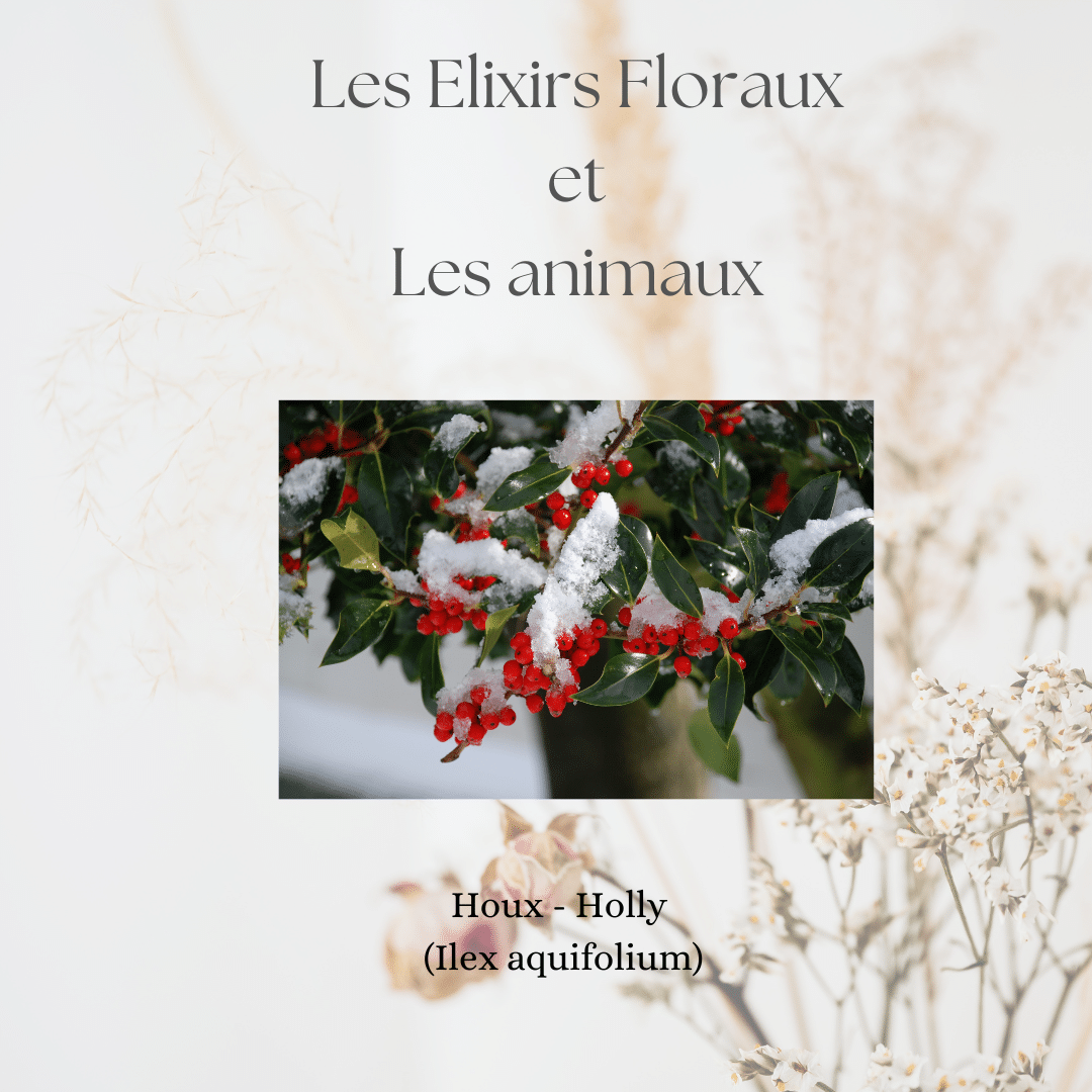 Les Elixirs Floraux et Les Animaux