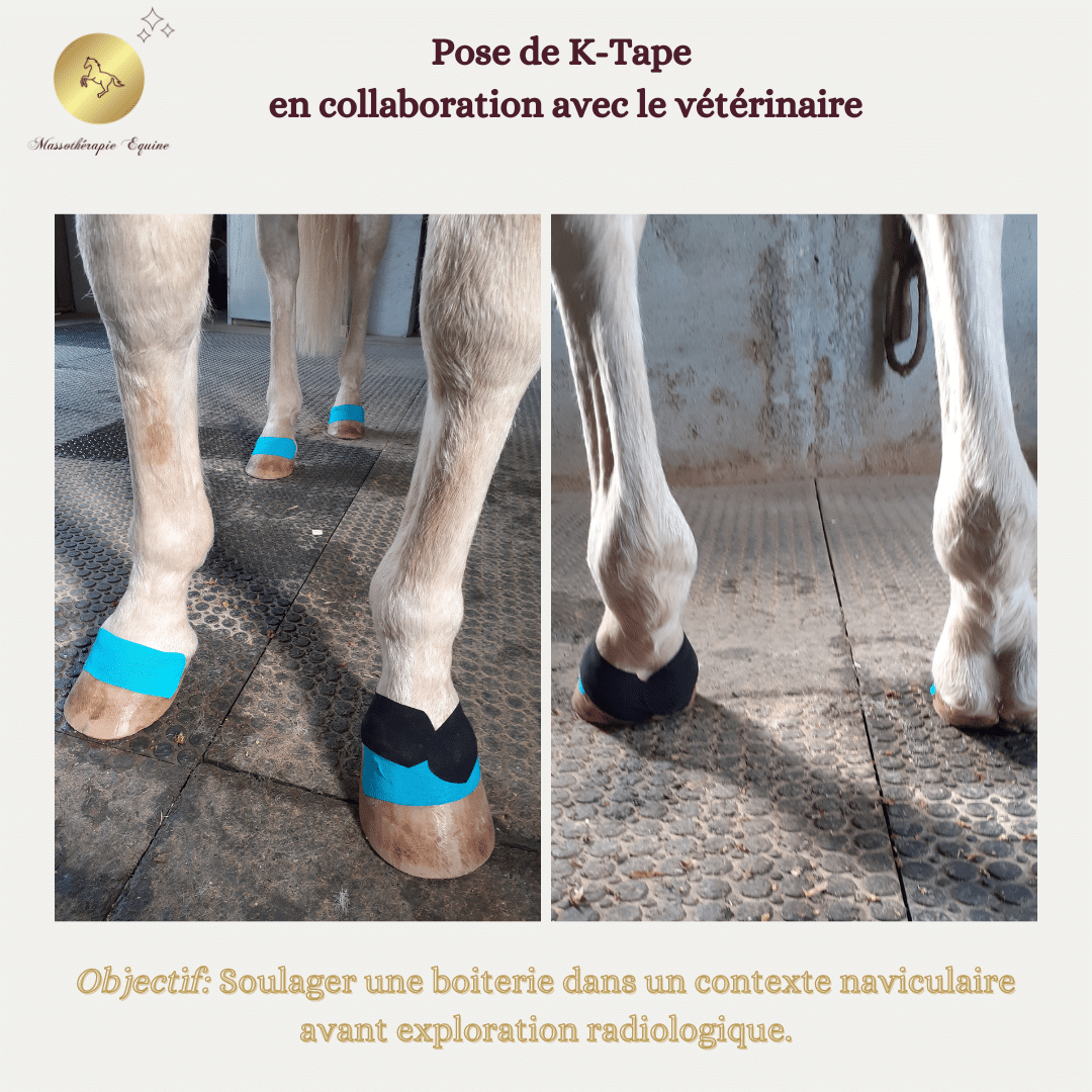 Massage Cheval K-Taping