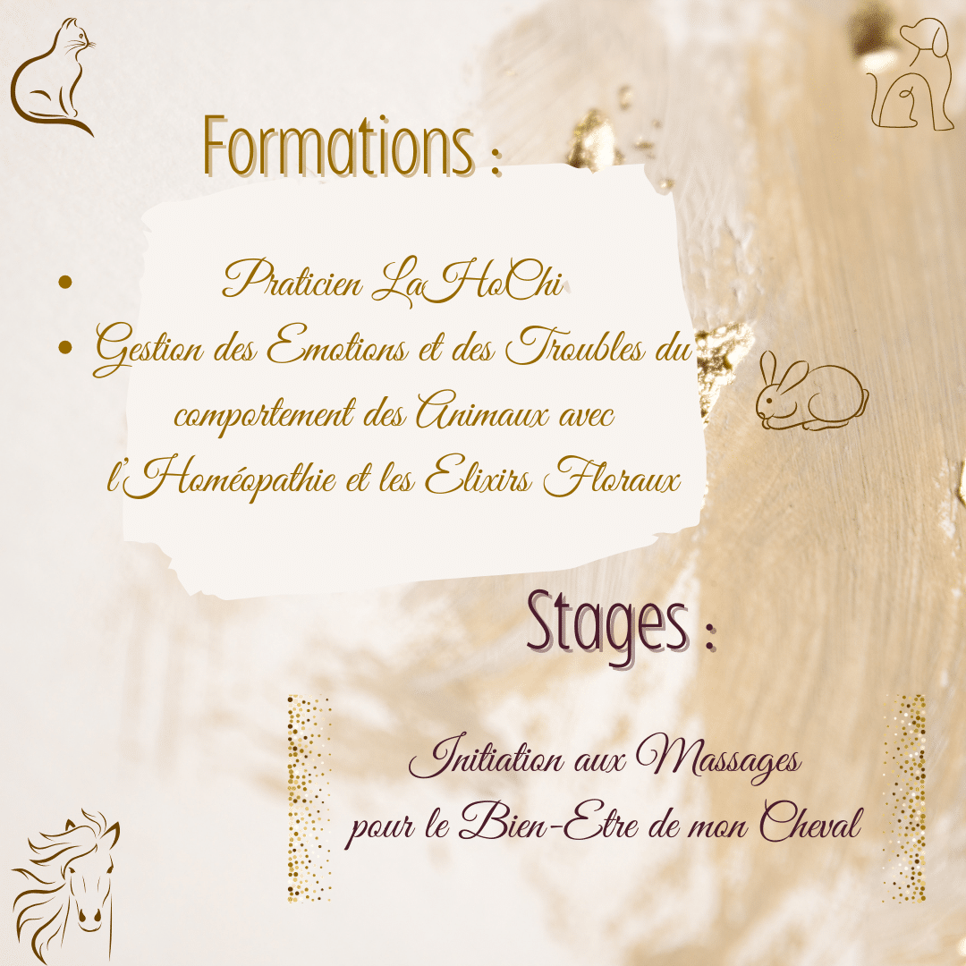 Formations et Stages proposés