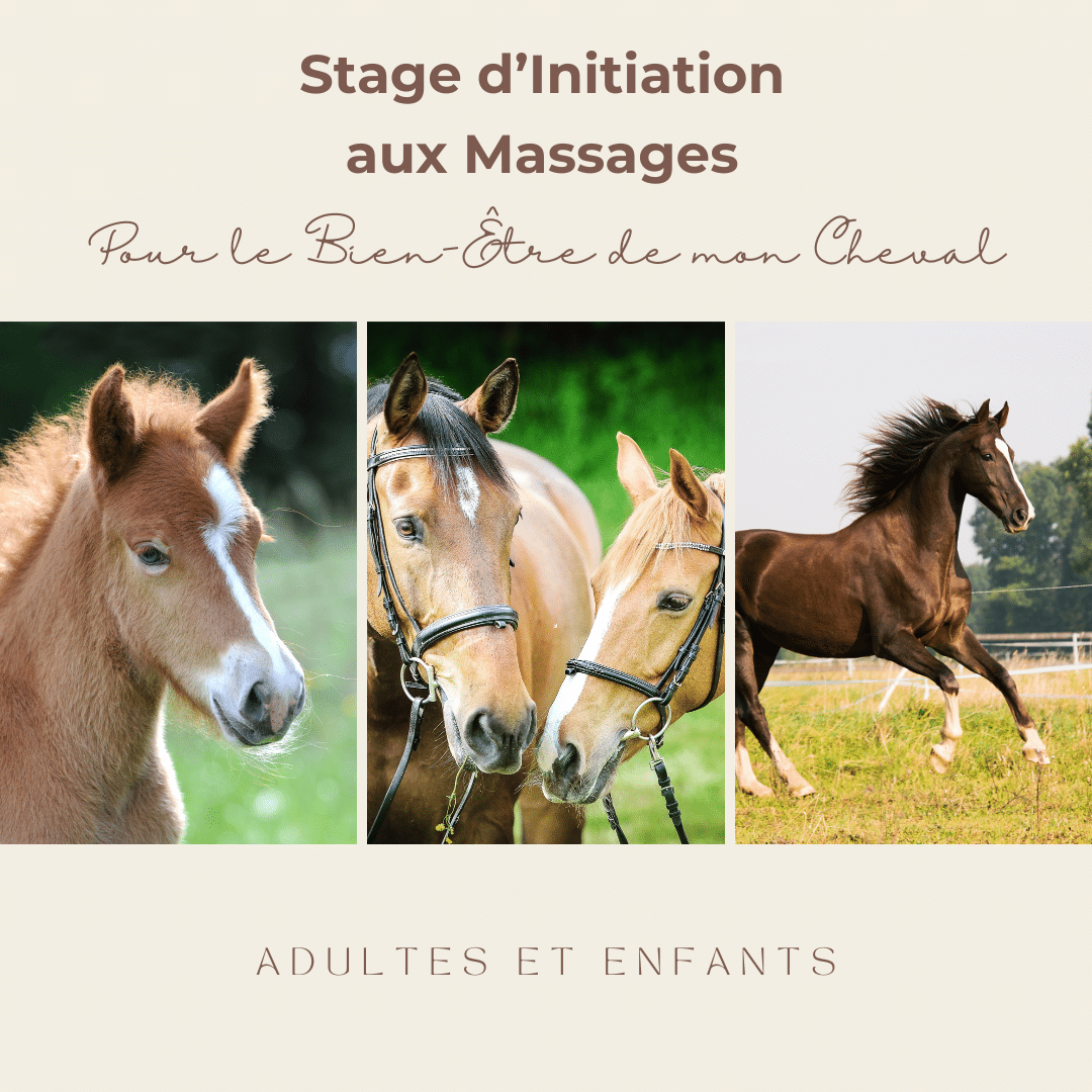 Stages d'initiation aux Massages