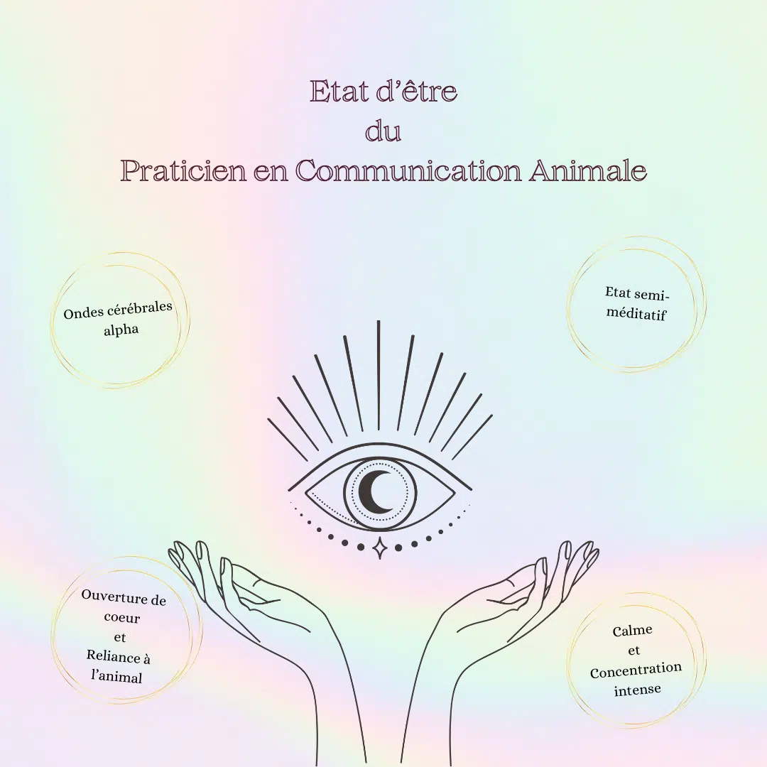 Communication Animale