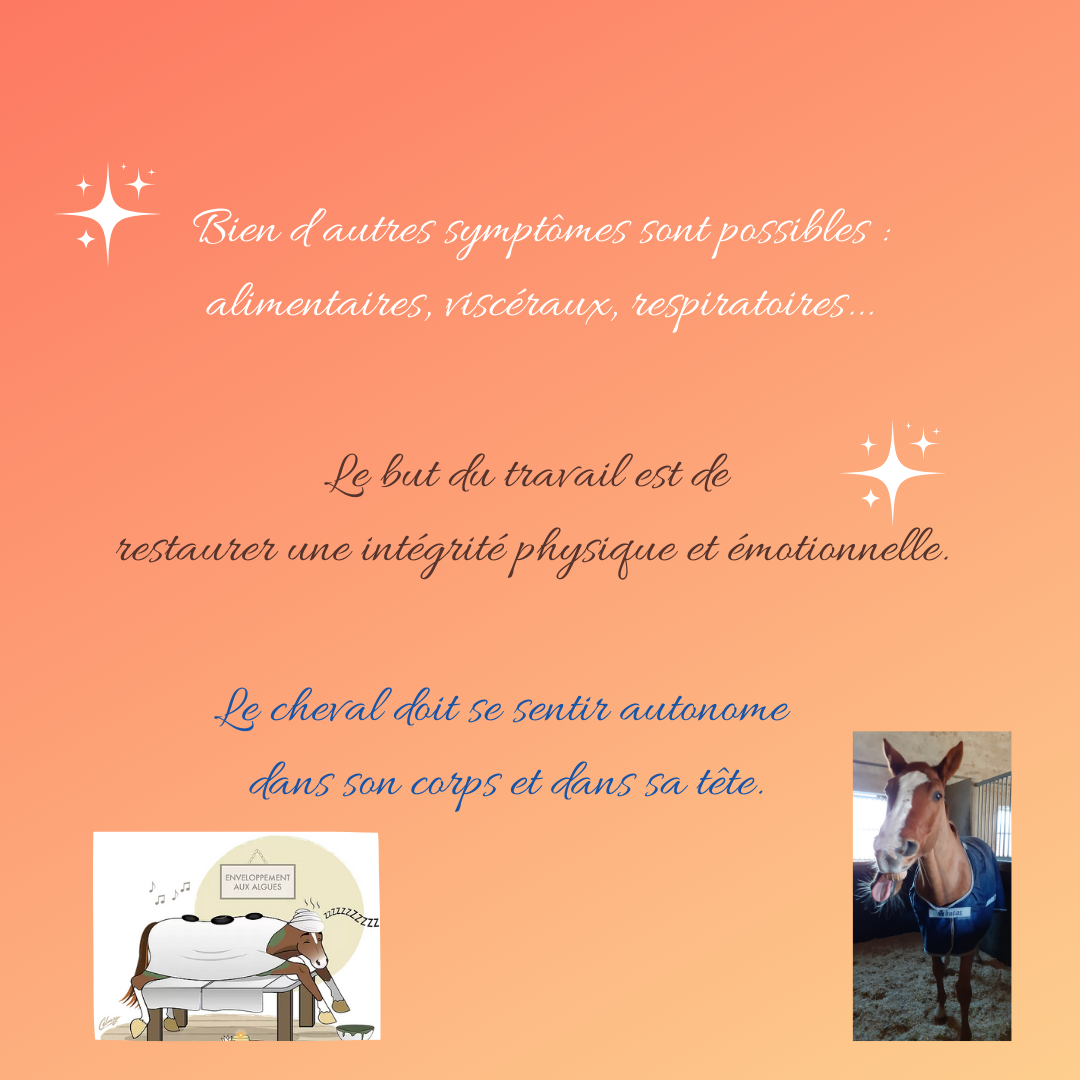 Le Toucher Massages et le Stress du Cheval