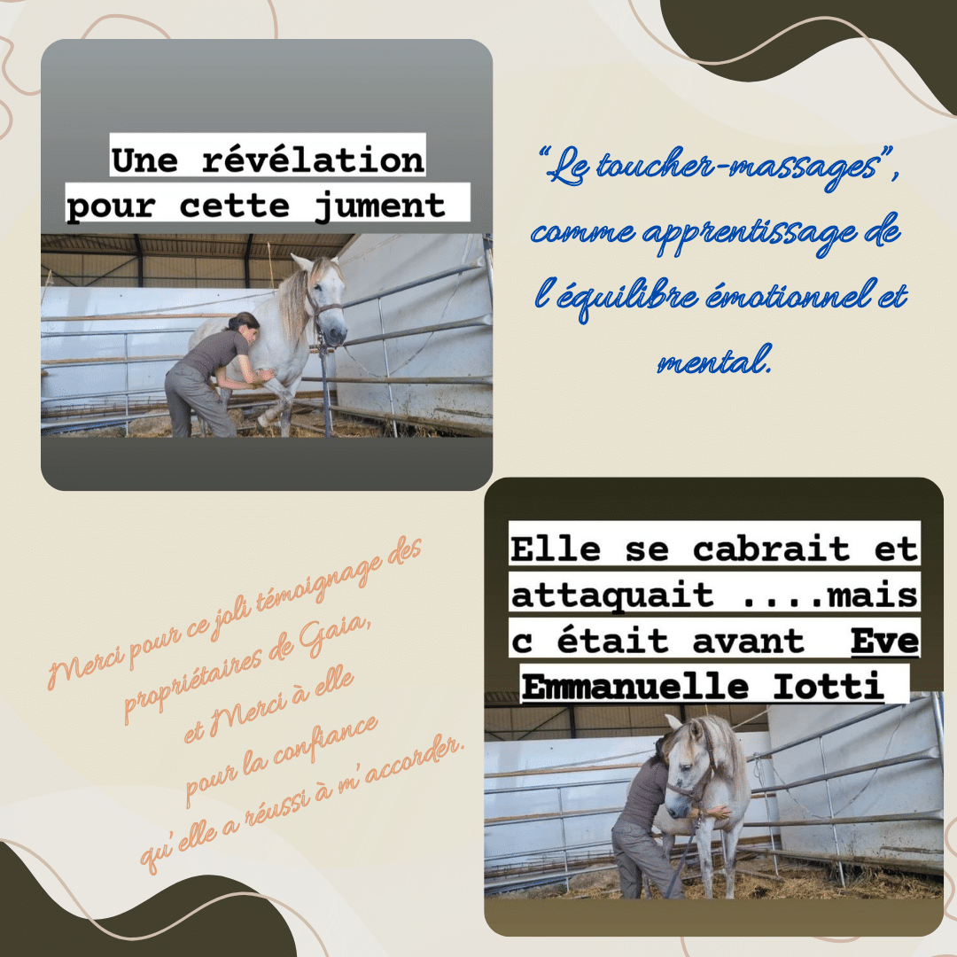 Le Toucher Massages et le Stress du Cheval