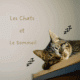 Le Chat et Le Sommeil