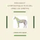 Lymphologie Equine
