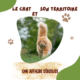Chat et Territoire : UNE AFFAIRE SERIEUSE