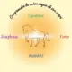Piliers Fondamentaux et Mécanique du Corps du Cheval