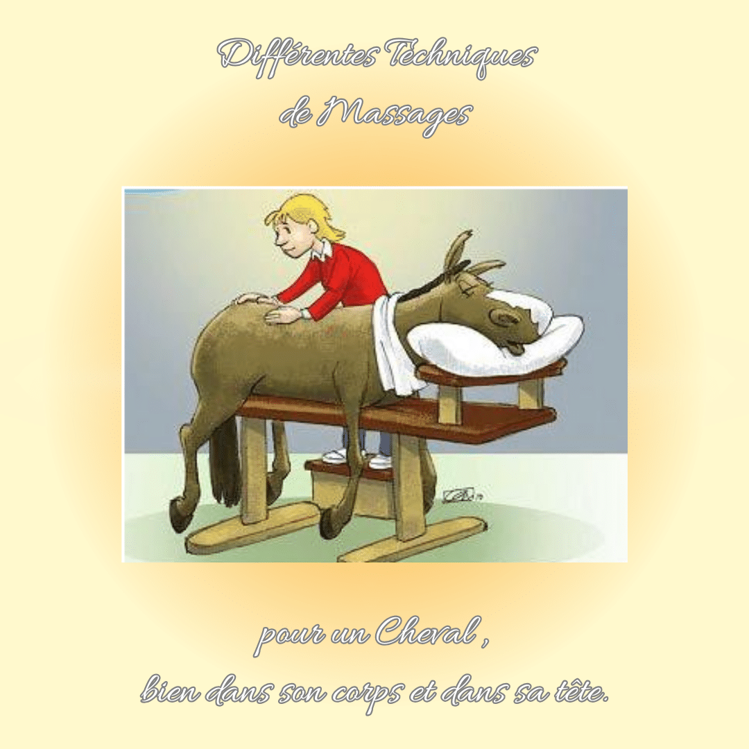 Piliers Fondamentaux et Mécanique du Corps du Cheval