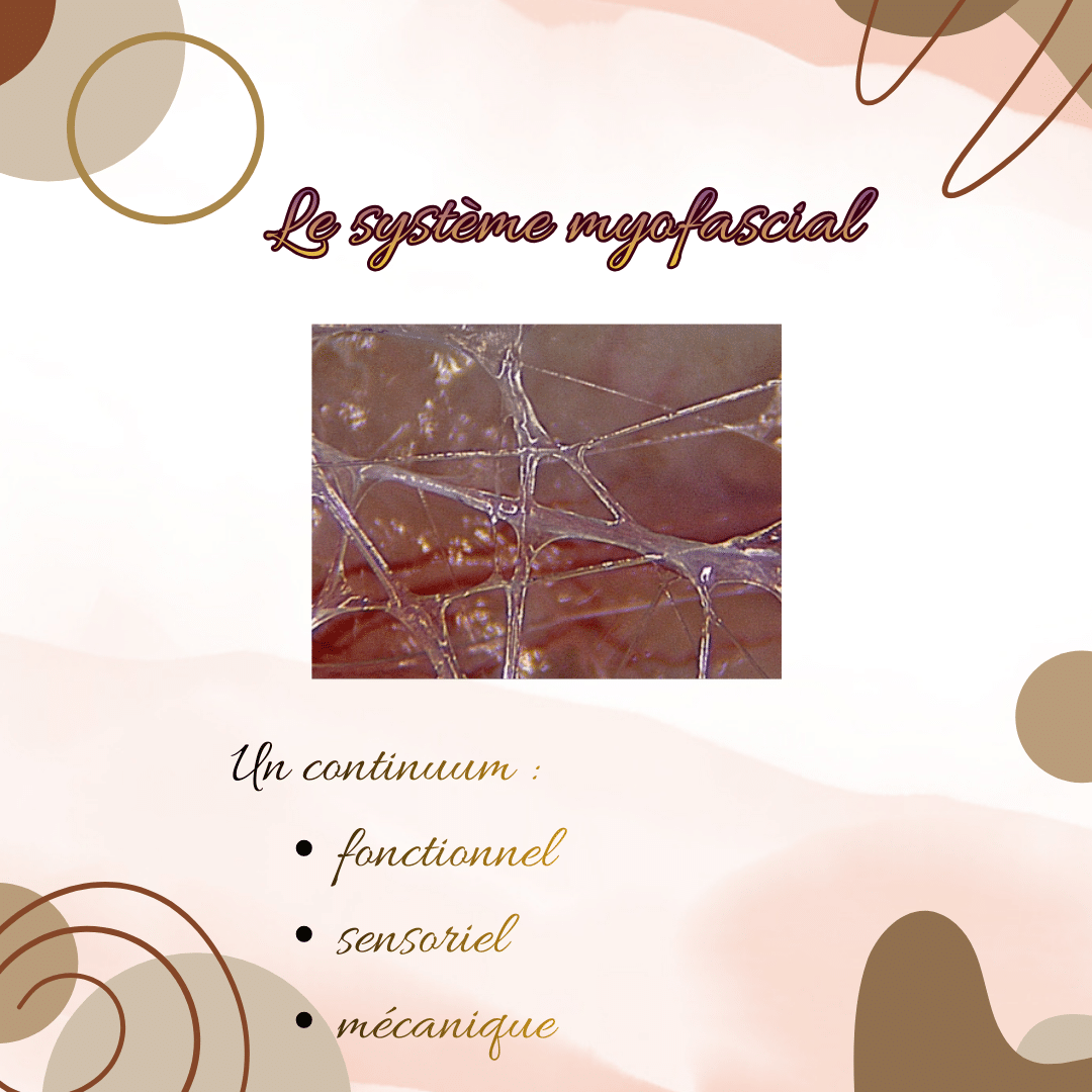 Le Dos du Cheval : Un chef d'orchestre silencieux