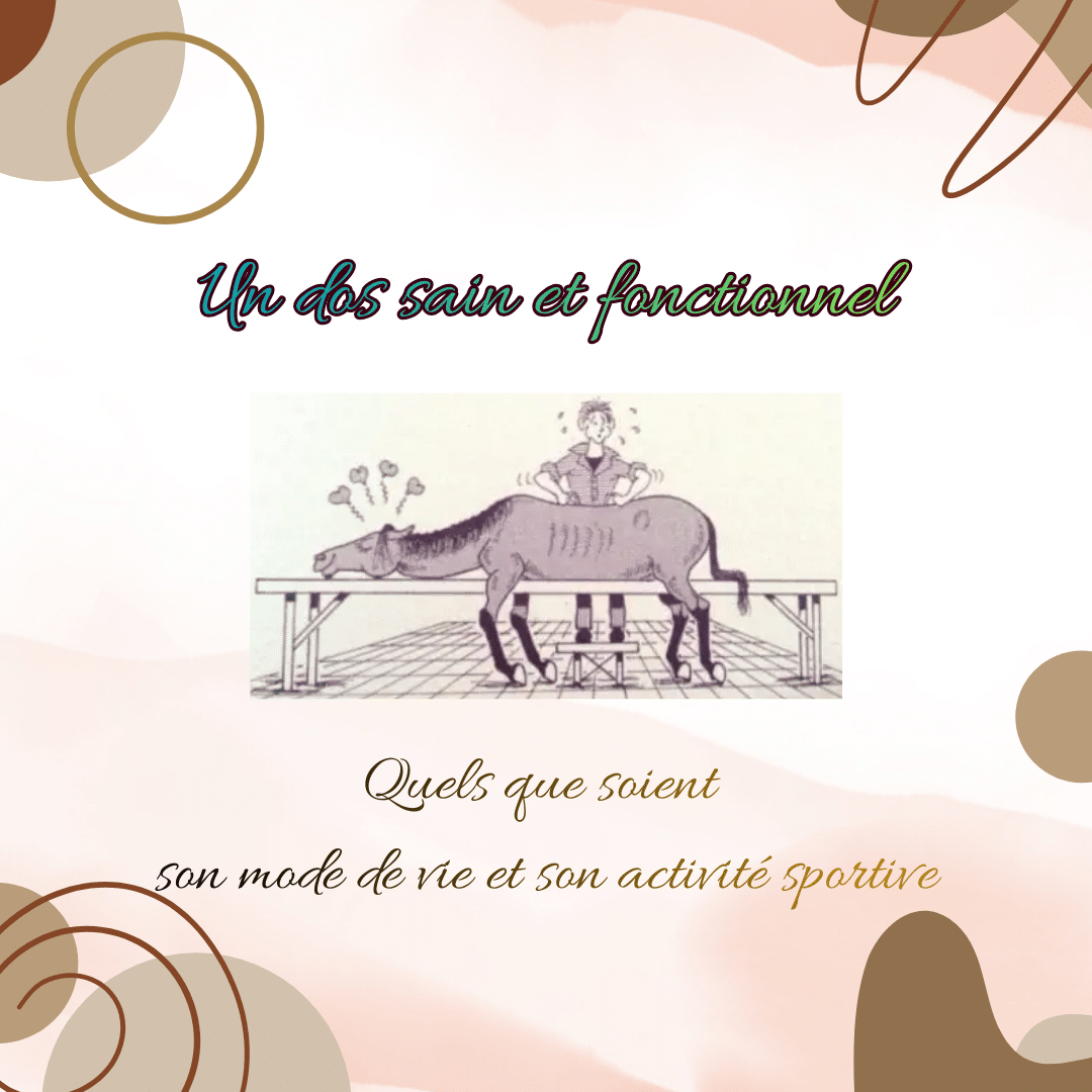 Le Dos du Cheval : Un chef d'orchestre silencieux