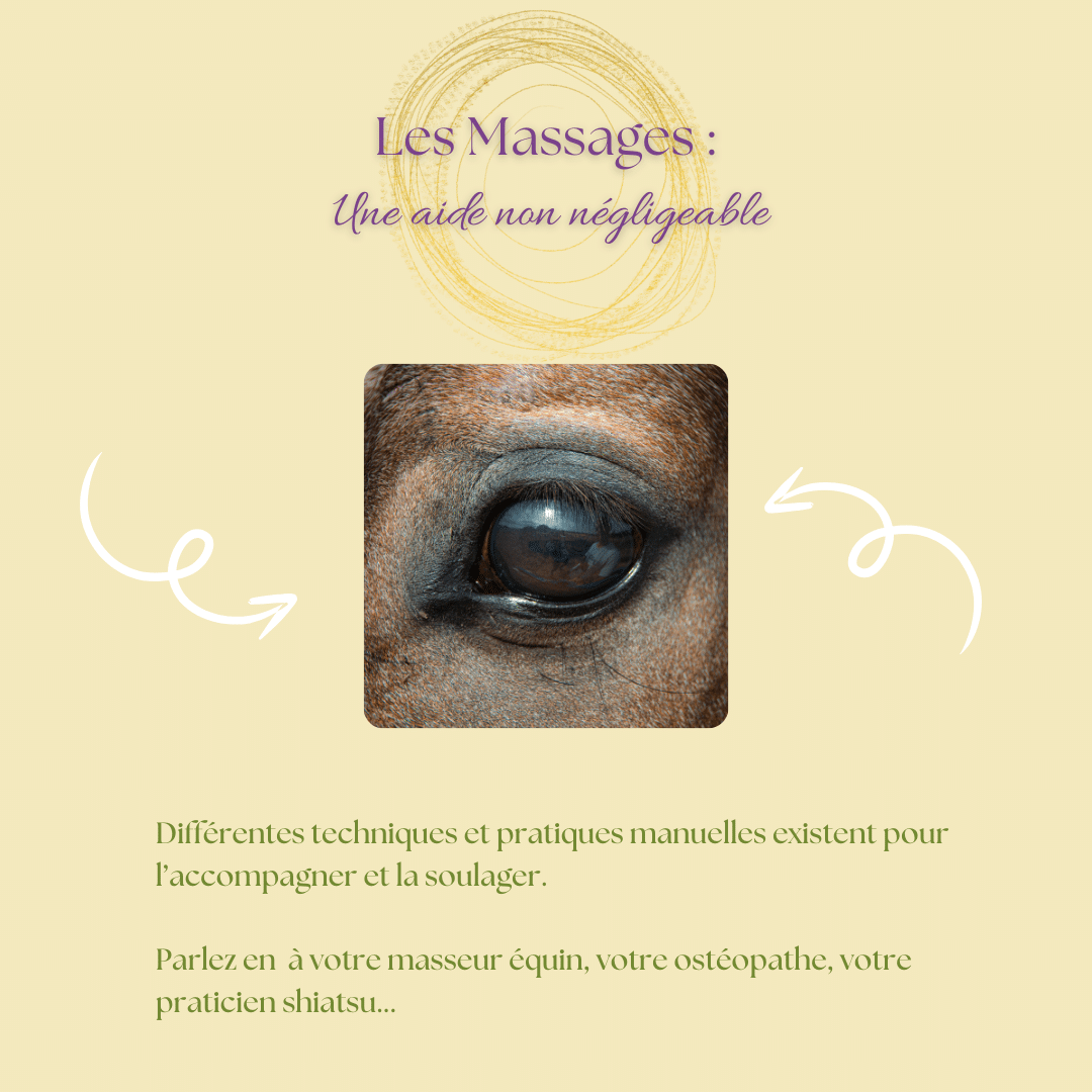 Chaleurs douloureuses chez la Jument Chaleurs douloureuses chez la Jument