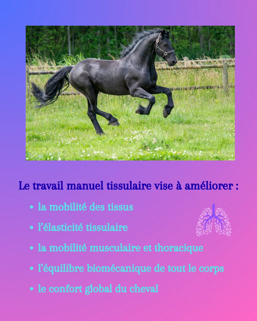 Massages et Travail Tissulaire