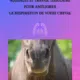 Massages et Travail Tissulaire pour améliorer la respiration de votre Cheval