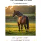Hanche coulée chez le cheval